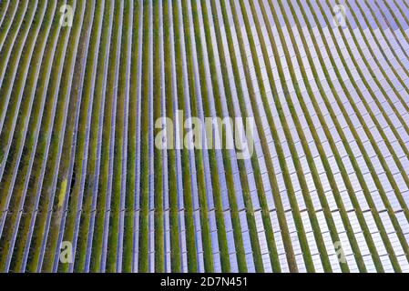 Parc d'énergie solaire à Silkeborg, Danemark. Il couvre une superficie de 156.000 m2 ou 22 terrains de football et dispose de 12,000 panneaux solaires. Banque D'Images