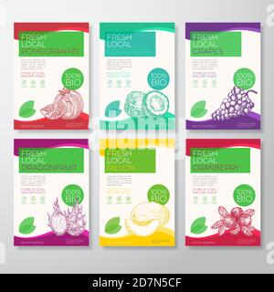 Fruits et baies frais locaux étiquettes emballage Design Layout Collection. Jeu de couvertures d'arrière-plan vectoriel. Typographie moderne et Coconut dessiné à la main, Melon Illustration de Vecteur