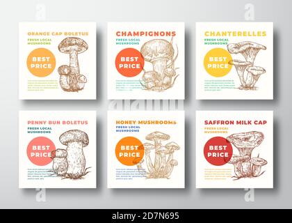 Collection de modèles d'étiquettes vectorielles de champignons. Champignons dessinés à la main, Chanterelles, etc. Esquisses avec la typographie moderne. Cartes pour plantes comestibles Illustration de Vecteur