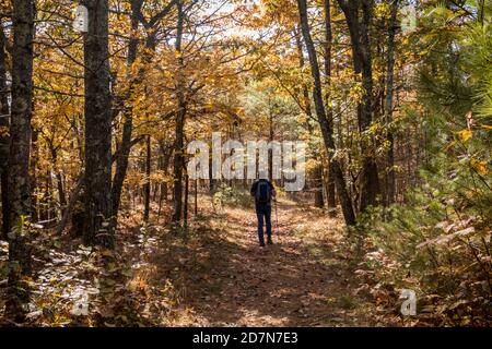 Le pont de Milford d'une vue pittoresque entouré par brillant feuillage d'automne Banque D'Images