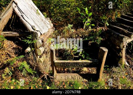 femme dans la réserve naturelle de blean woods inspectant les maisons d'insectes à l'est kent royaume-uni octobre 2020 Banque D'Images