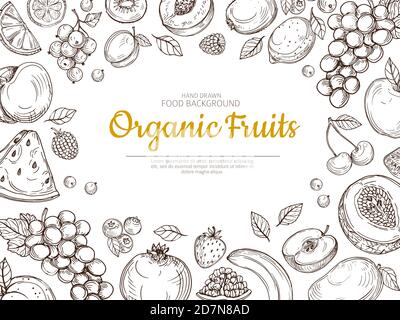 Fond de fruit. Farmer ECO fruits et baies vintage esquisse saine alimentation vecteur poster. Illustration de baies et de melons de fruits sains, de citron et de raisins Illustration de Vecteur