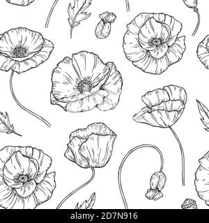 Motif coquelicot sans coutures. Coquelicots fleur esquisse dessin mur art plante coquelicot fleur bourgeon plantation florale nature vecteur tissu texture. Illustration d'un motif fleuri de pavot sans couture Illustration de Vecteur