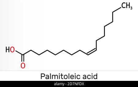Acide palmitoléique, molécule de palmitoléate. C'est un acide gras monoinsaturé oméga-7. Formule chimique du squelette. Illustration Banque D'Images