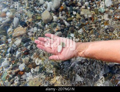 La main des femmes tient les pierres de mer dans l'eau claire de mer. Eau de mer cristalline à travers laquelle vous pouvez voir les pierres se trouvant sur le fond. Écologie Banque D'Images