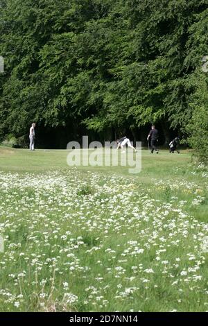 Belleisle Golf Club Golf week course, Ayr, Ayrshire, Écosse, Royaume-Uni. Événement annuel organisé par le Conseil du sud de l'Ayrshire sur le parcours de parc. Banque D'Images