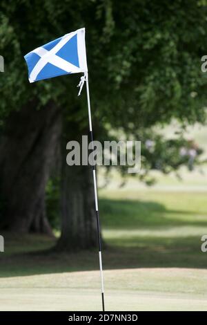 Belleisle Golf Club Golf week course, Ayr, Ayrshire, Écosse, Royaume-Uni. Événement annuel organisé par le Conseil du sud de l'Ayrshire sur le parcours de parc. Banque D'Images