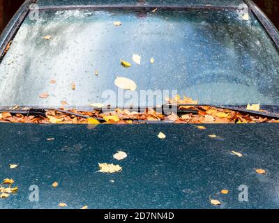 des feuilles sont tombées sur le capot de la voiture à l'extérieur le jour pluvieux de l'automne Banque D'Images