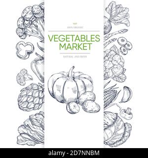 Modèle de bannière Vegetable Markets avec dessin à la main en vert. Illustration de légumes sains végétariens, potiron et brocoli, maïs et poivre Illustration de Vecteur