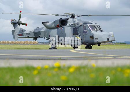 Agusta Westland AW159 Wildcat AH1 hélicoptère ZZ398 Banque D'Images