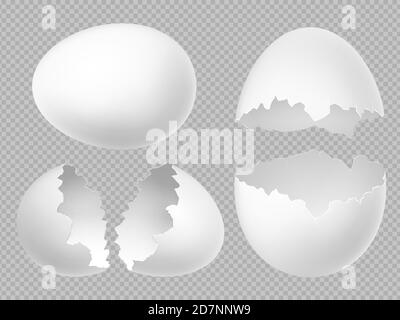 Œufs blancs vectoriels réalistes avec œufs entiers et cassés isolés sur fond transparent. Illustration de coquille d'œuf, coquille d'œuf cassé Illustration de Vecteur