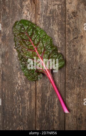 Photo studio de feuilles de Chard suisse sur fond de bois - John Gollop Banque D'Images