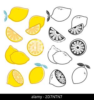 Ensemble vectoriel de morceaux de citron, jaune, noir et blanc d'agrumes. Illustration de fruits coupés à moitié, agrumes frais Illustration de Vecteur