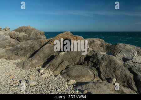 La forêt fossile de Lulworth, sur la côte jurassique de Dorset, est formée à partir d'arbres âgés de 140 millions d'années, en calcaire de Portland. Banque D'Images