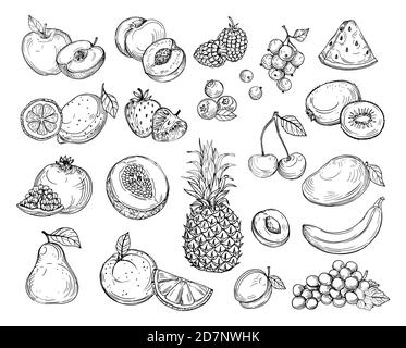 Dessinez des fruits. Melon de fraise, mangue de pêche. Banane ananas, raisins de framboise fruits dessinés à la main baies vector set. Illustration du melon et de la banane, de la cerise et du citron Illustration de Vecteur