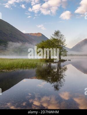 Groupe d'arbres sur une copse reflétant dans un lac avec beau ciel bleu. Prise dans Lake District, Royaume-Uni. Banque D'Images
