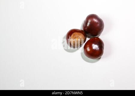 Châtaignes sur fond blanc. Banque D'Images