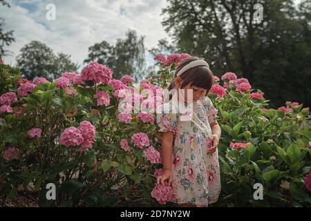 Portrait de fille avec fleurs d'hortensia Banque D'Images