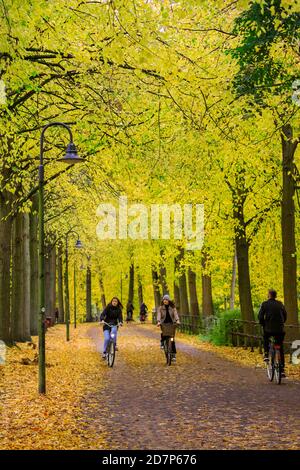 Muenster, NRW, Allemagne. 24 octobre 2020. Cyclistes et randonneurs sur la Promenade, un boulevard populaire bordé de tilleuls (tilia), le long des remparts de la vieille ville. Les arbres d'automne se sont transformés en éclats de rouge, jaune et orange lors d'une journée de gris et frais dans la ville. Credit: Imagetraceur/Alamy Live News Banque D'Images