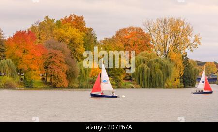 Muenster, NRW, Allemagne. 24 octobre 2020. Les voiliers utilisent la brise d'automne sur le populaire lac Aasee près du centre-ville. Les arbres d'automne se sont transformés en éclats de rouge, jaune et orange lors d'une journée de gris et frais dans la ville. Credit: Imagetraceur/Alamy Live News Banque D'Images