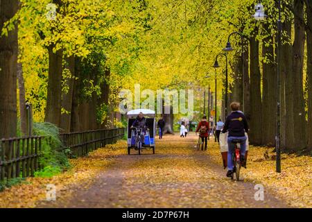 Muenster, NRW, Allemagne. 24 octobre 2020. Cyclistes et randonneurs sur la Promenade, un boulevard populaire bordé de tilleuls (tilia), le long des remparts de la vieille ville. Les arbres d'automne se sont transformés en éclats de rouge, jaune et orange lors d'une journée de gris et frais dans la ville. Credit: Imagetraceur/Alamy Live News Banque D'Images