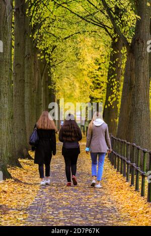 Muenster, NRW, Allemagne. 24 octobre 2020. Cyclistes et randonneurs sur la Promenade, un boulevard populaire bordé de tilleuls (tilia), le long des remparts de la vieille ville. Les arbres d'automne se sont transformés en éclats de rouge, jaune et orange lors d'une journée de gris et frais dans la ville. Credit: Imagetraceur/Alamy Live News Banque D'Images