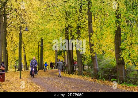 Muenster, NRW, Allemagne. 24 octobre 2020. Cyclistes et randonneurs sur la Promenade, un boulevard populaire bordé de tilleuls (tilia), le long des remparts de la vieille ville. Les arbres d'automne se sont transformés en éclats de rouge, jaune et orange lors d'une journée de gris et frais dans la ville. Credit: Imagetraceur/Alamy Live News Banque D'Images