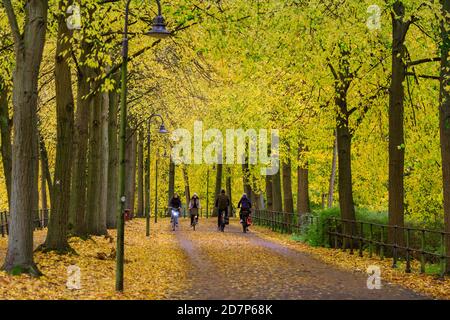 Muenster, NRW, Allemagne. 24 octobre 2020. Cyclistes et randonneurs sur la Promenade, un boulevard populaire bordé de tilleuls (tilia), le long des remparts de la vieille ville. Les arbres d'automne se sont transformés en éclats de rouge, jaune et orange lors d'une journée de gris et frais dans la ville. Credit: Imagetraceur/Alamy Live News Banque D'Images