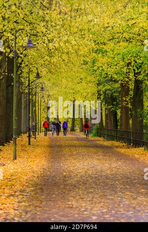 Muenster, NRW, Allemagne. 24 octobre 2020. Cyclistes et randonneurs sur la Promenade, un boulevard populaire bordé de tilleuls (tilia), le long des remparts de la vieille ville. Les arbres d'automne se sont transformés en éclats de rouge, jaune et orange lors d'une journée de gris et frais dans la ville. Credit: Imagetraceur/Alamy Live News Banque D'Images