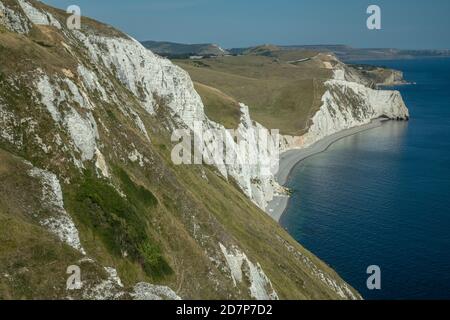 Falaises de craie blanches, à l'est de White Nothe vers Swyre Head et Durdle Door, Dorset. Banque D'Images