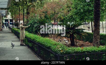 Femme portant un manteau de tranchée et nourrissant des oiseaux et des pigeons Banque D'Images