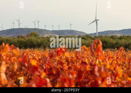 Éoliennes à proximité des vignobles avec des feuilles rouges automnales dans la région de Campo de Borja, près de la petite ville de Magallon, Aragon, Espagne. Banque D'Images