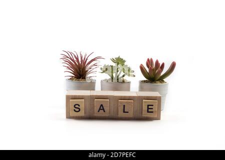 .Houseplants vente concept succulents en petits pots et des lettres de vente Banque D'Images