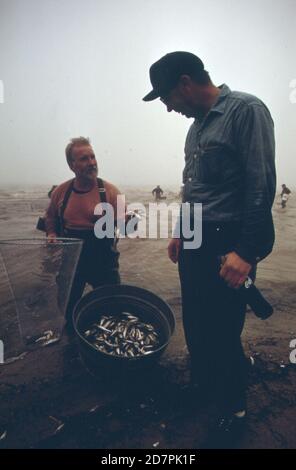 L'odeur annuelle se trouve au pont de chant; Tawas City. À la mi-avril, des milliers de pêcheurs se rassemblent à Whitney Drain; un homme a fait un canal sur le lac Huron; pour faire du filet pour ces petits poissons CA. 1973 Banque D'Images