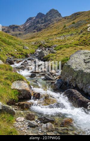 Ruisseau de montagne dans la vallée de LANguard, Val LANguard, Pontresina, Alpes de Bernina, haute Engadine, Engadine, Grisons, Suisse Banque D'Images