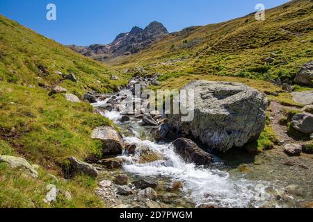 Ruisseau de montagne dans la vallée de LANguard, Val LANguard, Pontresina, Alpes de Bernina, haute Engadine, Engadine, Grisons, Suisse Banque D'Images