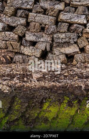 Tourbe empilée dans une tourbière, tourbe, tourbe, Goldenstedter Moor, Oldenburger Muensterland, Basse-Saxe, Allemagne Banque D'Images