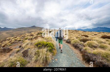 Randonnée sur Kepler Track, parc national Fiordland, Southland, South Island, Nouvelle-Zélande Banque D'Images