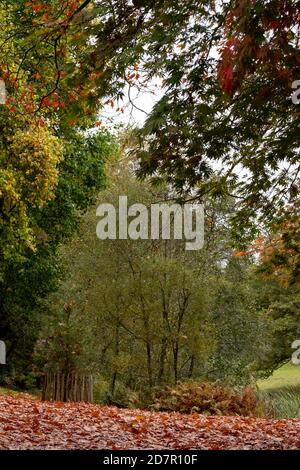 Jardin au bord du lac à la propriété Stourhead National Trust près de Warminster dans le Wiltshire. Photographié en automne. Banque D'Images