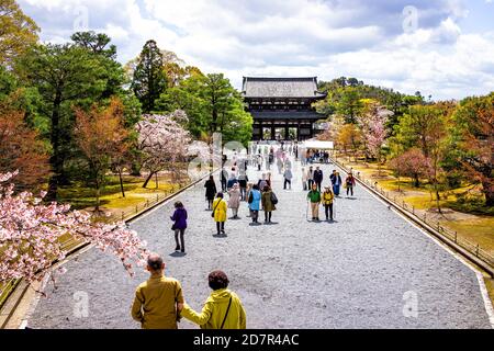 Kyoto, Japon - 10 avril 2019 : les cerisiers en fleurs sakura fleurissent des arbres au printemps, au temple de Ninna-ji, avec des gens touristes marchant dans les escaliers et Banque D'Images