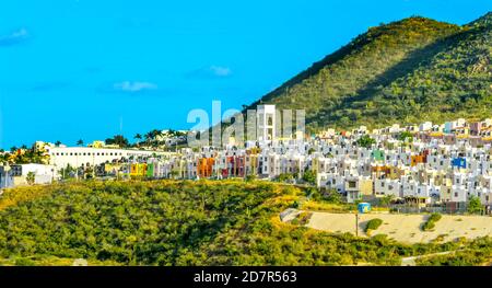 Mexican Village Green Cardon Cactus Sonoran Desert scrubland à Baja California Cabo San Lucas Mexique. Le cactus Cardon est le plus grand cactus du ver Banque D'Images