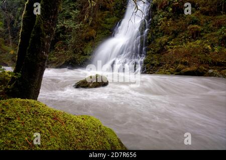 Un ruisseau sans nom tombe au-dessus de la cascade et dans Boulder River, Boulder River Wilderness, Central Cascades, Washington, États-Unis Banque D'Images