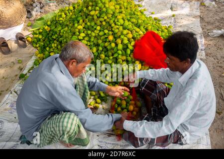 Bangladesh – 18 octobre 2020 : deux travailleurs emballant des légumes fourragers frais et verts à la vente sur le marché de Narsingdi. Banque D'Images