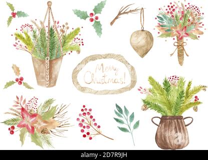 Collection de Noël d'éléments floraux pour la décoration de cartes de voeux et de cartes. Aménagement botanique en hiver. Vecteur Illustration de Vecteur
