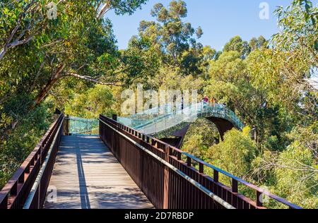 Les gens sur le parc Kings Lotterywest Federation pont passerelle, Perth, Australie Banque D'Images