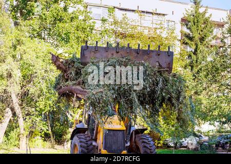 Les services publics municipaux nettoient une pile de branches d'arbre après un service d'enlèvement d'arbres dans un quartier résidentiel Banque D'Images