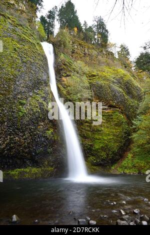 Chutes d'Horsetail en automne Banque D'Images