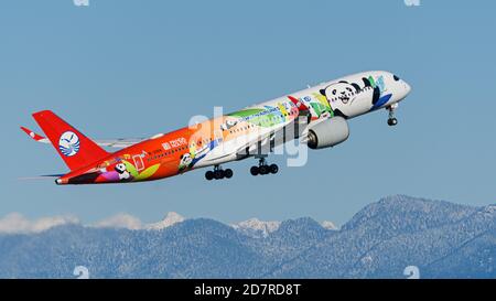 Richmond, Colombie-Britannique, Canada. 24 octobre 2020. Un avion Airbus A350-900 de Sichuan Airlines (B-306N) peint dans des prises de livrée spéciales « Panda route » au départ de l'aéroport international de Vancouver. Crédit : Bayne Stanley/ZUMA Wire/Alay Live News Banque D'Images