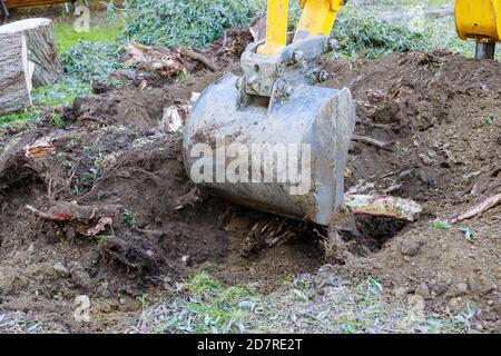 Pelle hydraulique déracinant les arbres pour défricher les terres des vieux arbres, racines et branches avec des machines de pelle rétro dans les quartiers urbains. Banque D'Images