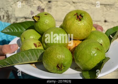 Fruits de goyave frais dans une assiette. Banque D'Images